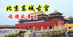 还有尻逼视频中国北京-东城古宫旅游风景区